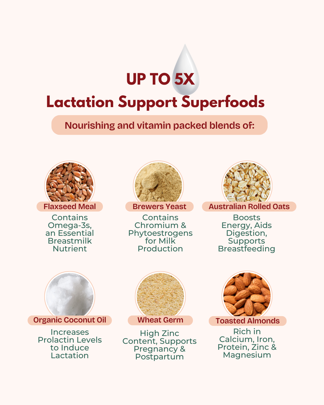 Lactation Cookies