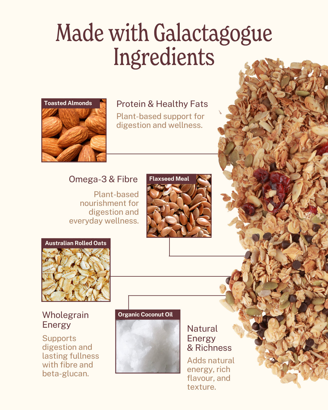 Basic Mommy Starter Kit (2 Cookies,1 Granola)
