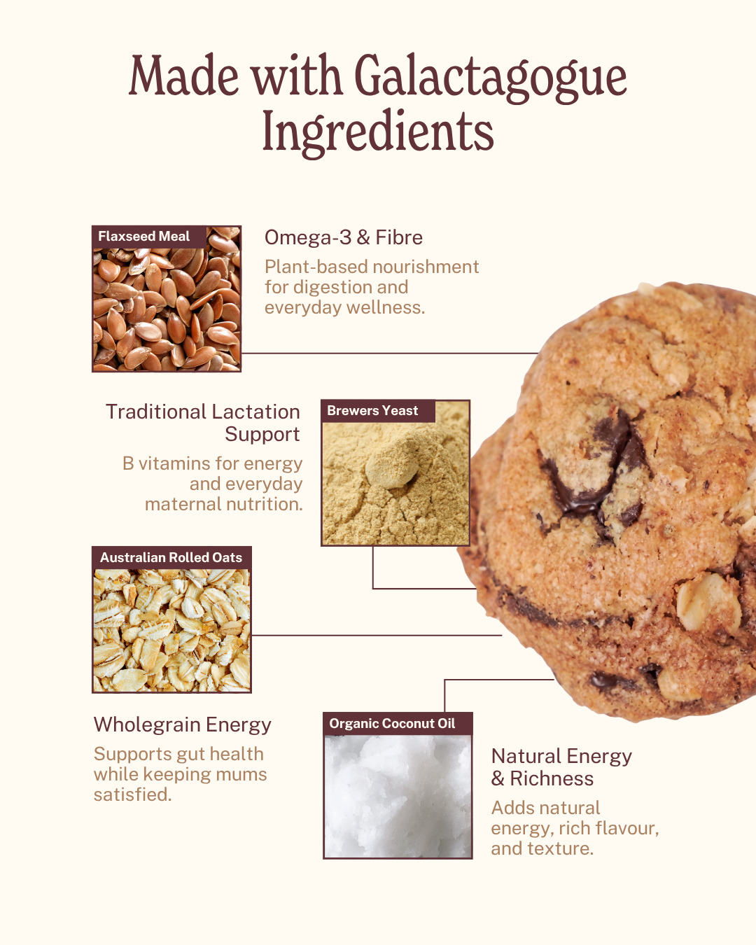 Lactation Cookies