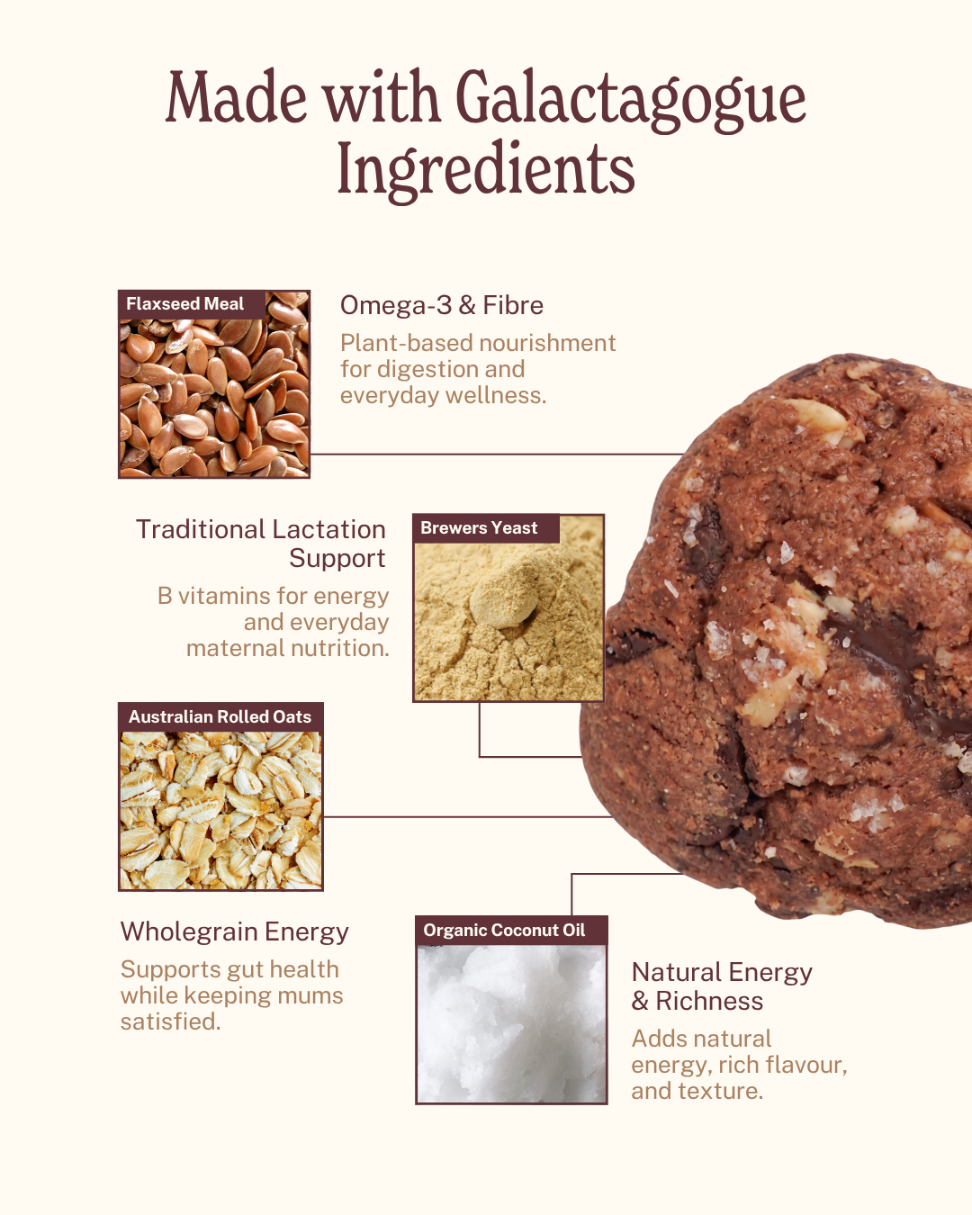 Lactation Cookies