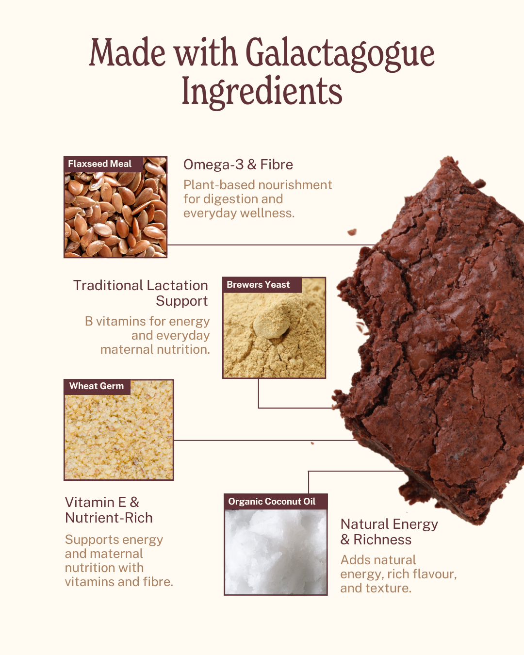 Lactation Brownies