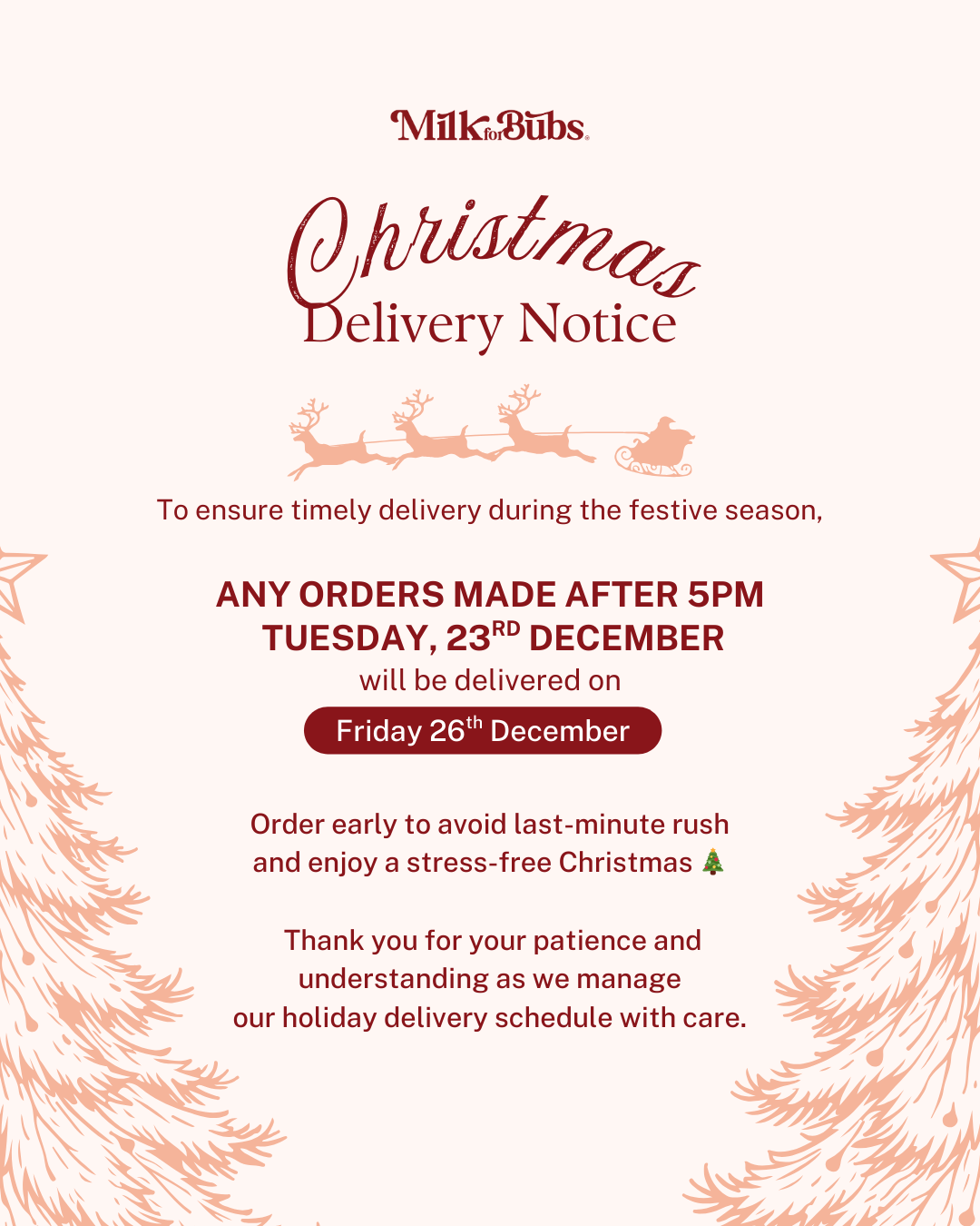 Breastmilk Pump Flange Inserts