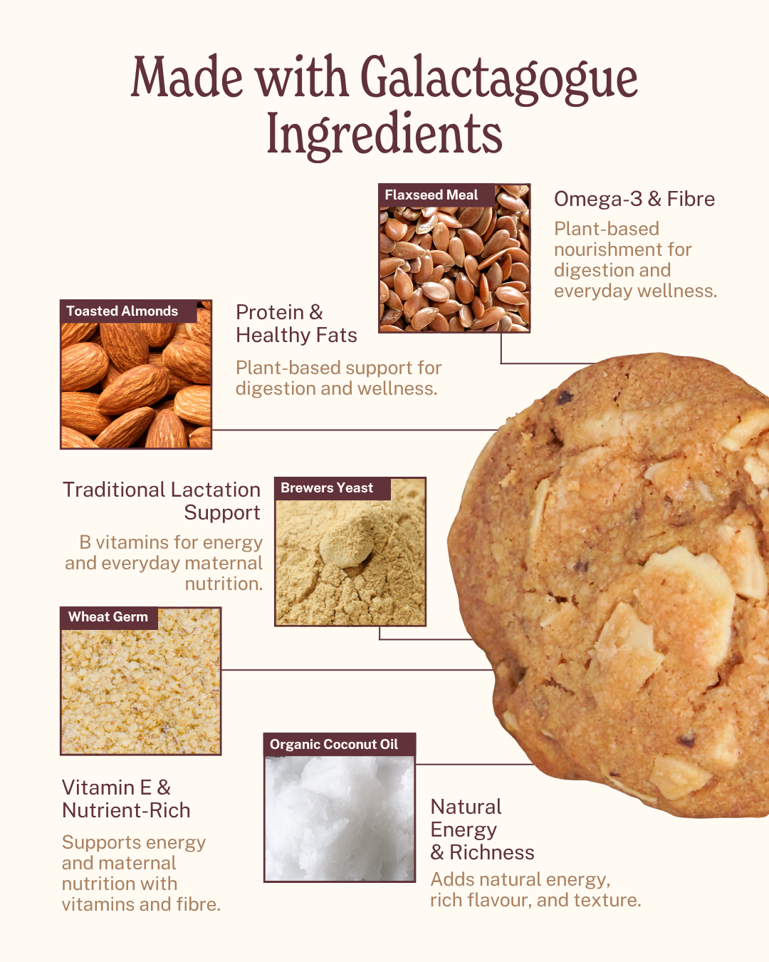Lactation Cookies